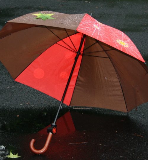 umbrella-50511